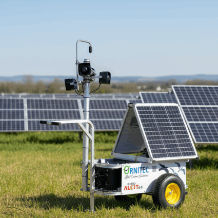 PV-Anlage Solar Dachfläche Vogelabwehr